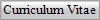 Curriculum Vitae  